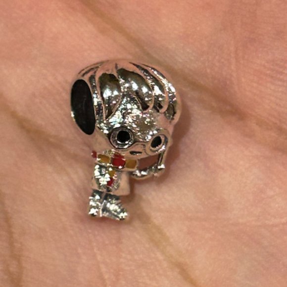 Sterling Silver Harry Potter Charm - Picture 6 of 8